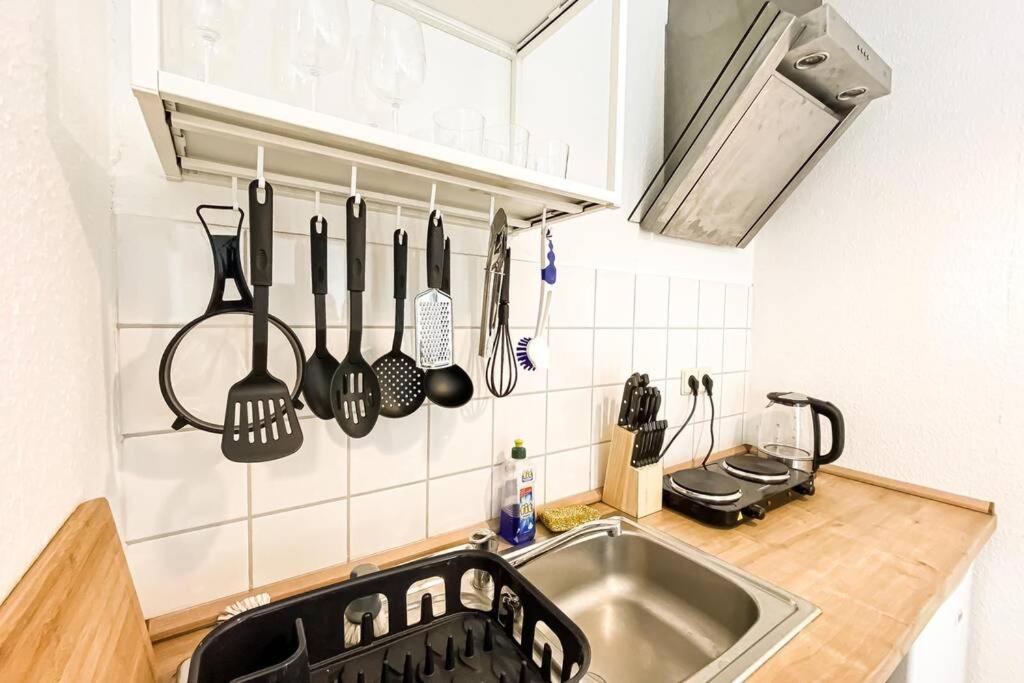 Apartment Am Auensee Mit Grosser Terrasse & Privat-Parkplatz Lipcse Kültér fotó